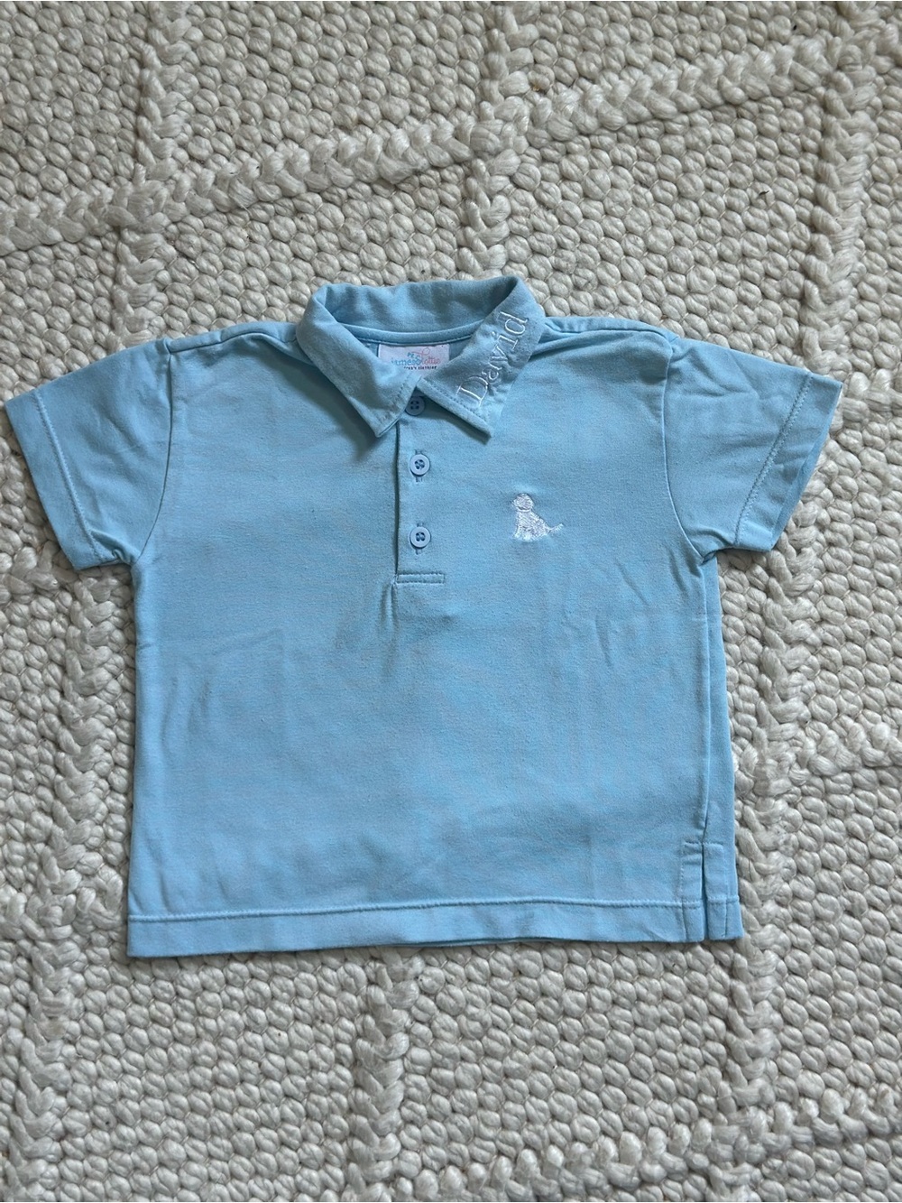 Children's Light Blue Polo Shirt with Subtle Embroidered Motif
